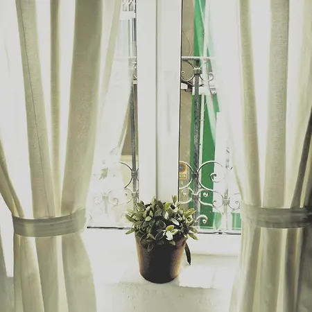 Apartamento Paradise Centro
